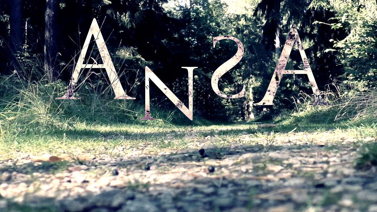 Ansa project artwork